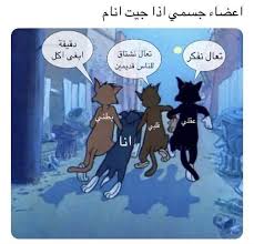 اضحك من قلبك 𖤐 ديسمبر 21 2020 في 10 20 am جلسة البريئه in 2021 funny cartoon quotes funny picture jokes funny science jokes