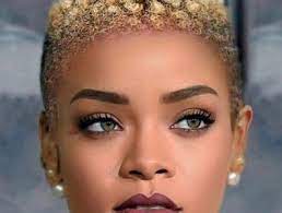 65 Best Short Hairstyles For Black Women 2018 2019 Celebrity Short Hair Fine Hair Natural Hair Styles For Black Women