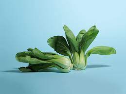 Toss baby bok choy with homemade vinaigrette in a salad or add whole to spiced beef soup; Everything You Need To Know About Cooking And Shopping For In Season Bok Choy Stories Kitchen Stories