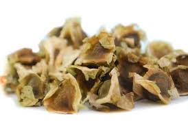 Pendant la grossesse, l'allaitement (lactation) des précautions doivent être prises. 9 Bienfaits Incroyables Des Graines De Moringa Moringasiam
