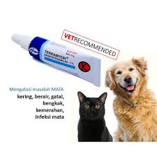 Kucing juga memiliki beberapa penyakit mata yang hampir sama seperti manusia, bahkan cara menggantinya pun nyaris sama. Salep Terramycin Teramisin Obat Sakit Mata Anjing Dan Kucing Lazada Indonesia