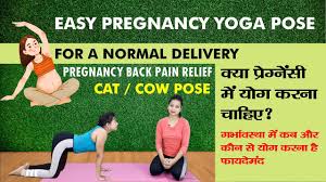 A safe stretch for the back and abdominal stregnther. Cat Exercise During Pregnancy Easy Pregnancy Yoga Poses For A Normal Delivery Cat Yoga Youtube