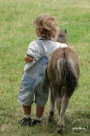 Companions Animals For Kids Cute Animals Animals Friends