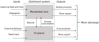 Budget pest control hours and budget pest control locations along with phone number and map with driving directions. Sustainability Free Full Text Deteriorated Water Quality Of Agricultural Catchments In South China By Net Anthropogenic Phosphorus Inputs Html