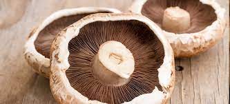 Learn about the portobello (portabella) mushroom. Portobello Mushroom Benefits Nutrition Recipes And More Dr Axe