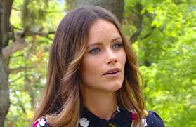 Sofia hellqvist ble for alvor kjent i broderlandet sverige da hun var med som deltaker i den svenske versjonen av paradise hotel i 2005. Princess Sofia Of Sweden Talks Hate Storm She Endured People Com