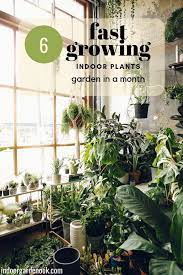 17 Fast Growing Indoor Plants Garden In A Month Indoor Garden Nook Garden Nook House Plant Care Plants