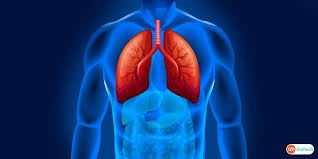Lung cancer usually has no symptoms in its early stages. A Prolonged Cough It Can Be Symptom Of Lung Cancer Gomedii