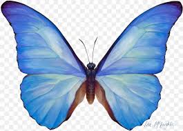There's something interesting about this almost ice cold and winter. Butterfly Watercolor Painting Sepanta Telegram Png 1500x1077px Butterfly Blue Blue Butterfly Bombycidae Brush Footed Butterfly Download