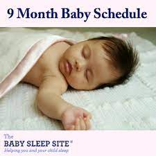 9 Month Old Baby Schedule Sample Schedules The Baby Sleep Site