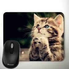 Ozur Dileyen Masum Kedi Baskili Mousepad Kedi Masa Baski
