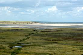 Texel Urlaub An Der Nordsee Texel Urlaub Urlaub Nordsee Schone Orte