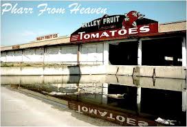 Pharr From Heaven: Q& A: Javier Solis