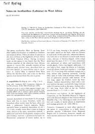 Image result for Aeollanthus neglectus