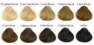 Level 8 Brown Hair Color Brown Things Brown Color Brownthings Hair Color Chart Levels Of Hair Color Natural Hair Color Chart