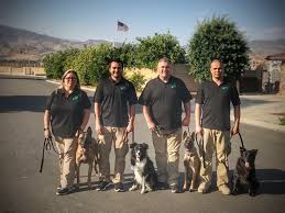 Cape's online debriefing program in partnership with the office of the vice provost for teaching and learning at stanford university is now available. Green Dog Pest Service Inc