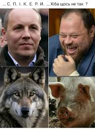 Elvira Bulat (@bulatelvira) • Instagram photos and videos