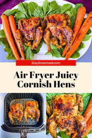 Air Fryer Juicy Cornish Hens In 2021 Air Fryer Recipes Easy Cornish Hen Recipe Poultry Recipes