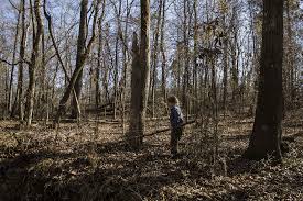 Can you make a fort out of boxes? Winter Fort Building With Kids Run Wild My Child