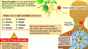 Maybe you would like to learn more about one of these? Immer Mehr Altere Menschen Leiden Unter Pollenallergie Gesundheit