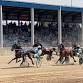 Whiteside County Fair