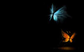 Pngkit selects 1663 hd butterfly png images for free download. Images Of Art Blue Yellow Butterfly Art Wallpaper 30880 Butterfly Wallpaper Butterfly Background Blue Butterfly Wallpaper