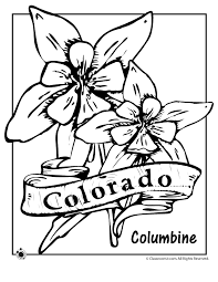 State Flower Coloring Pages Colorado State Flower Coloring Page Classroom Jr Flower Coloring Pages Coloring Pages Free Printable Coloring Pages