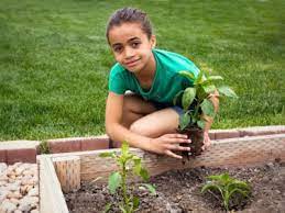 May 17, 2021 by rachel 14 comments. Veggie Gardens For Kids Making A Children S Vegetable Garden