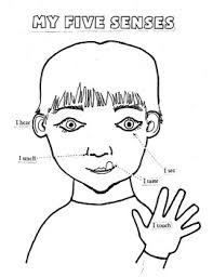 If learning about the five senses is something that has founds its way into your home preschool planning this week, you're going to want take a minute and check out today's free printable! 5 Senses Coloring Worksheets Teaching Resources Tpt