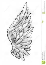 25 Ideas Tattoo Feather Ear Angel Wings Wings Drawing Wings Art Angel Wings Drawing