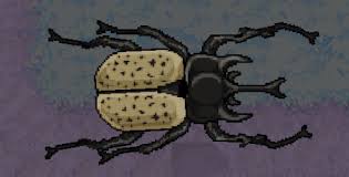 See more ideas about rhino beetle, beetle, bugs and insects. Rhinoceros Beetle Pocketants Wiki Fandom