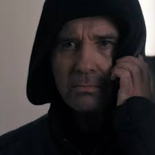 اسب هایی که پورنو جنسی دارند