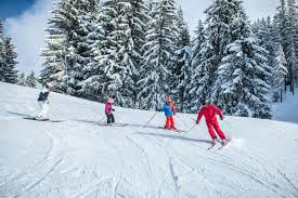 Außerdem steigt die zahl der toten immer schneller. Europe Winter Travel The 10 Safest Ski Resorts To Visit During The Pandemic
