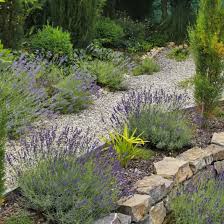 Pin Von Mareike Auf Terraced And Hillside Gardens Mediterraner Garten Garten Mediteraner Garten