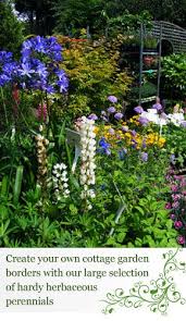 Plants And Ornaments In Telford Grange Farm