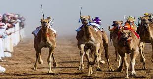 Camel racing has been deeply rooted in emirati culture for thousands years. Dubai Camel Racing Club Camel Racing Dubai