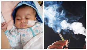 Maybe you would like to learn more about one of these? Gara Gara Asap Rokok Paru Paru Bayi Umur 2 Bulan Kena Jangkitan Kuman Hati Limpa Bengkak