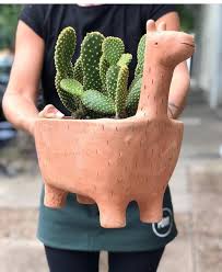 Llama Barro Plantas Macetas Disenos De Unas