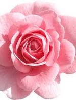 Carolyn Laster Obituary