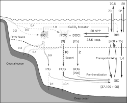 oceanic sink for carbon dioxide