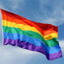 The flag was reduced to seven colors because hot pink dye was not commercially available, and the 1979. Gtp Rainbow Flag 3 X5 Ft Polyester Flag Gay Pride Lesbian Peace Lgbt Flag W Brass Grommets Walmart Com Walmart Com