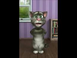 Giresunlu Kemenceci Kedi Video Izle Indir Videoindirelim Com