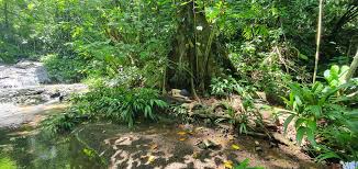 Everything in Nature is a Womb