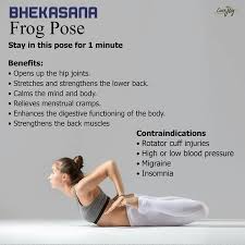 Given The Contraindications I Guess This Pose Is Not Mine Yoga Asanas Ayurveda Yoga Advanced Yoga