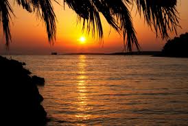 Image result for images afterglow don johnson