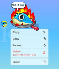 Bukan itu sahaja, telegram mampu mengubah kehidupan korang jugak haha. Telegram Punya Fitur Hapus Pesan Otomatis Berikut Cara Pakainya