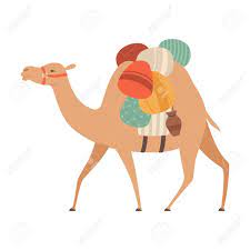 Your child will also learn about the camel's ability to carry heavy loads for their master. Camel With Bridle And Saddle Desert Animal Carrying Heavy Load Royalty Free Cliparts Vectors And Stock Illustration Image 128165964