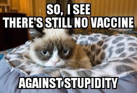 Pin By William Macey Jr On Funnies Funny Grumpy Cat Memes Grumpy Cat Humor Grumpy Cat Quotes