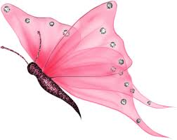 © copyright 2021, rama works®. Rama Rama Png Transparent Background Butterfly Png Full Size Png Download Seekpng