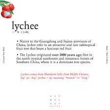 Lychee Lychee Words Matter Red Fruit